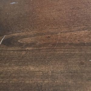 Meet your Posher, Holly